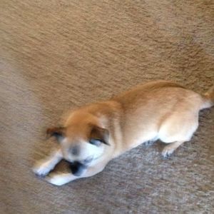 Meet your Posher, Zach